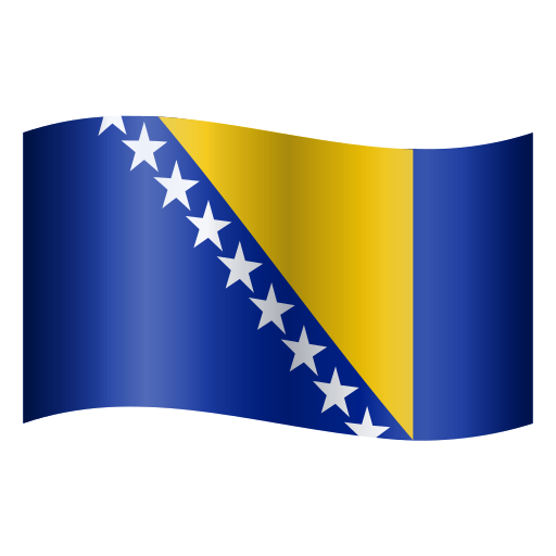 Bosnia and Herzegovina Flag
