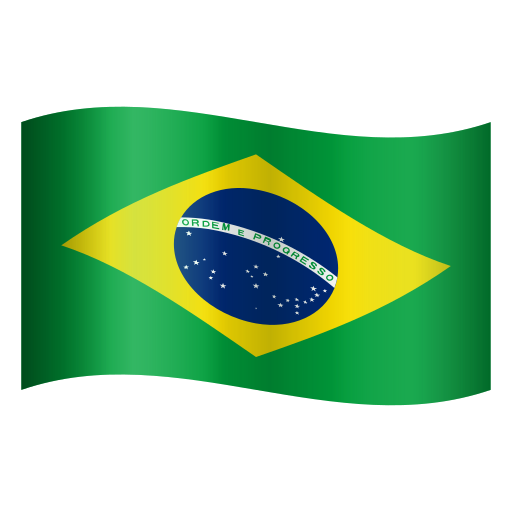 BRAZIL FLAG