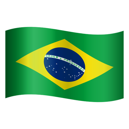 BRAZIL FLAG