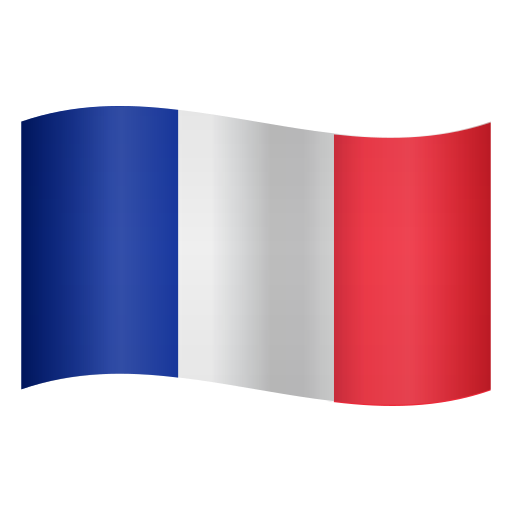 FRANCE FLAG